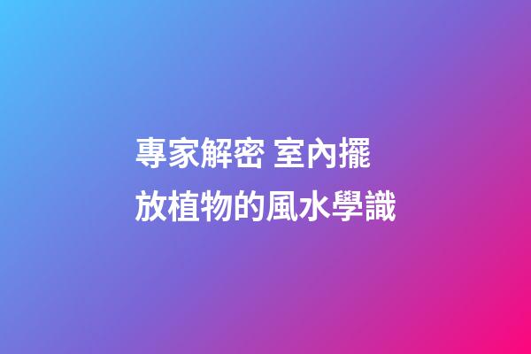 專家解密 室內擺放植物的風水學識